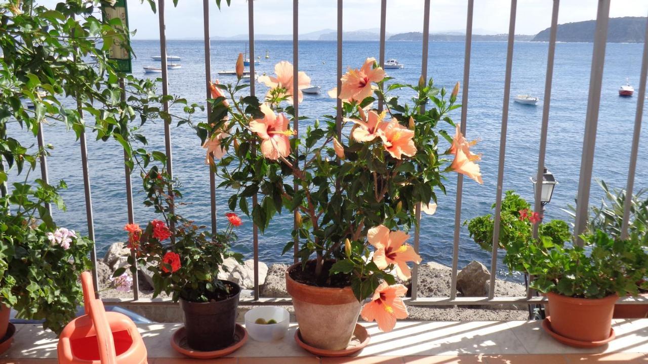 Bed and Breakfast I Cinque Sensi Іскія Номер фото